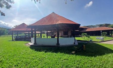 FINCA MULTIPROPSITO TIENDA NUEVA PALMIRA