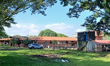 FINCA MULTIPROPSITO TIENDA NUEVA PALMIRA