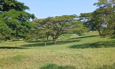 FINCA MULTIPROPSITO TIENDA NUEVA PALMIRA