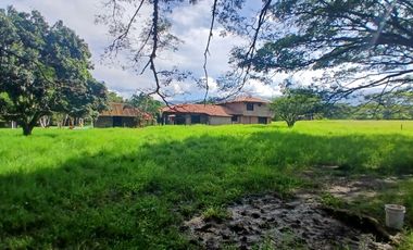 FINCA MULTIPROPSITO TIENDA NUEVA PALMIRA