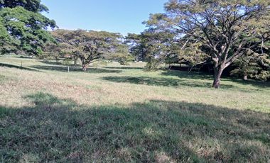 FINCA MULTIPROPSITO TIENDA NUEVA PALMIRA