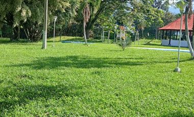 FINCA MULTIPROPSITO TIENDA NUEVA PALMIRA