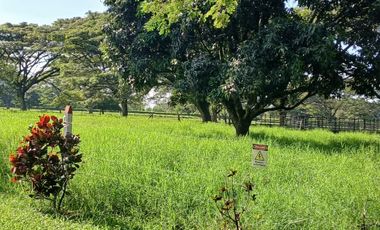 FINCA MULTIPROPSITO TIENDA NUEVA PALMIRA