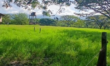 FINCA MULTIPROPSITO TIENDA NUEVA PALMIRA