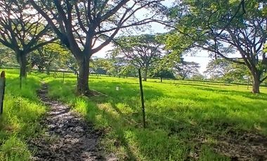 FINCA MULTIPROPSITO TIENDA NUEVA PALMIRA