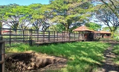 FINCA MULTIPROPSITO TIENDA NUEVA PALMIRA