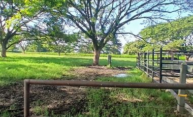 FINCA MULTIPROPSITO TIENDA NUEVA PALMIRA