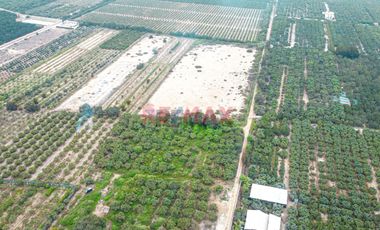GRAN OPORTUNIDAD DE INVERSION: AMPLIO TERRENO PARA USO INDUSTRIAL O ALMACEN RODEADO DE NATURALEZA Y CAMPOS VERDES | Huaral