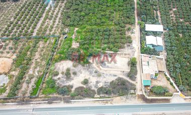 GRAN OPORTUNIDAD DE INVERSION: AMPLIO TERRENO PARA USO INDUSTRIAL O ALMACEN RODEADO DE NATURALEZA Y CAMPOS VERDES | Huaral