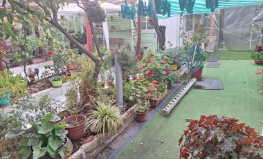 Población San Francisco SOLO CONTADO