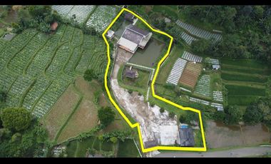 Dijual Rumah Villa Mewah 3392 m2 + Kolam di Daerah Dingin Purwakarta