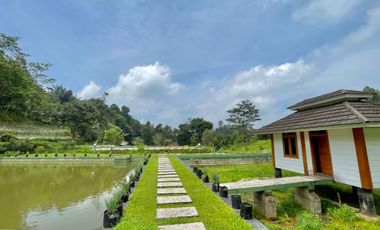 Dijual Rumah Villa Mewah 3392 m2 + Kolam di Daerah Dingin Purwakarta