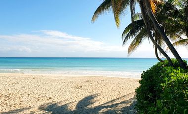 Luxury Beachfront Home in Playacar Phase 1 – Ocean View