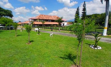 FINCA EN VENTA SANTA ELENA-CERRITO