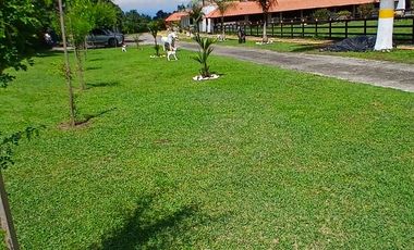 FINCA EN VENTA SANTA ELENA-CERRITO