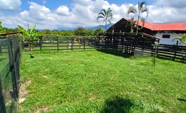 FINCA EN VENTA SANTA ELENA-CERRITO