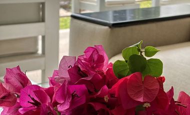 Renta Largo Plazo Calle 38 Playa del Carmen |2 Recámaras