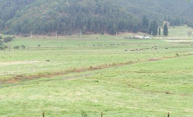 SE VENDE FINCA EN SOPO CUNDINAMARCA