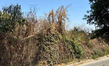 VENTA TERRENO DE 11,255 mts A $6,800 EL METRO