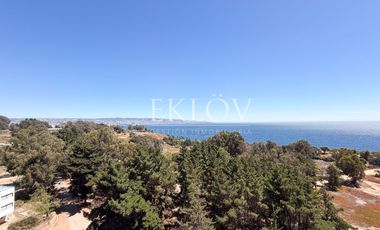 Arriendo 3d2b Vista Al Mar Reñaca Jardín Del Mar