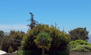 Arriendo 3d2b Vista Al Mar Reñaca Jardín Del Mar