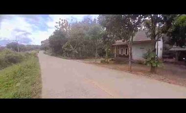 Dijual tanah kebun murah di sajira Rangkas Bitung Lebak Banten