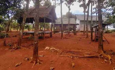 Dijual tanah kebun murah di sajira Rangkas Bitung Lebak Banten