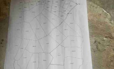 Dijual tanah kebun murah di sajira Rangkas Bitung Lebak Banten