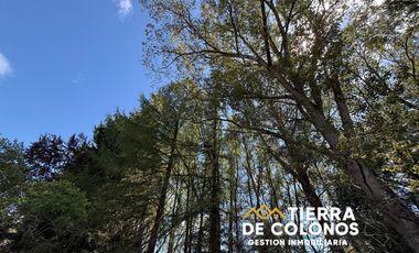 Tierra de Colonos Arrienda amplia casa de Campo