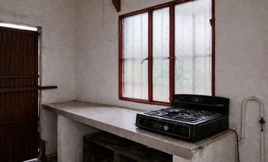 Vendo Casa Tradicional Tolimense con Solar Productivo