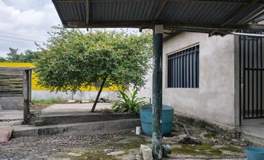 Vendo Casa Tradicional Tolimense con Solar Productivo