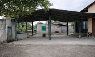 Vendo Casa Tradicional Tolimense con Solar Productivo