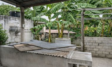 Vendo Casa Tradicional Tolimense con Solar Productivo