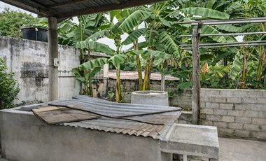 Vendo Casa Tradicional Tolimense con Solar Productivo