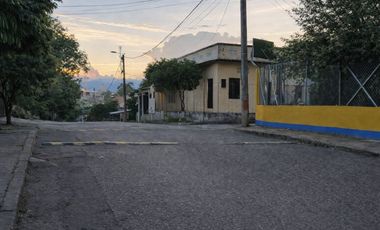 Vendo Casa Tradicional Tolimense con Solar Productivo