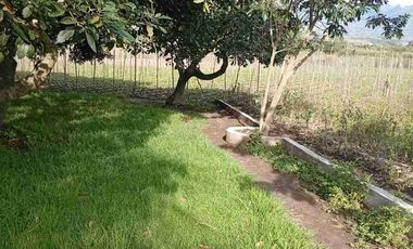 Vendo finca de 3 hectáreas y media en Atuntaqui