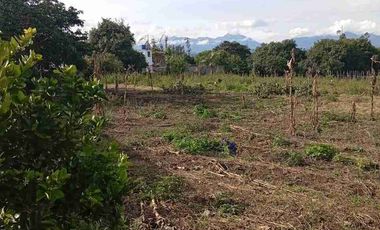 Vendo finca de 3 hectáreas y media en Atuntaqui