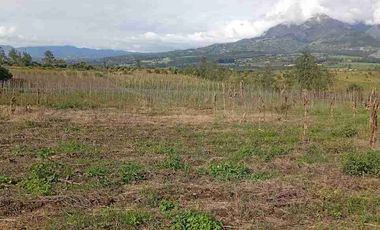 Vendo finca de 3 hectáreas y media en Atuntaqui