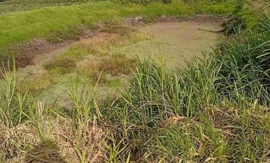 Vendo finca de 3 hectáreas y media en Atuntaqui