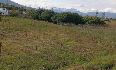 Vendo finca de 3 hectáreas y media en Atuntaqui
