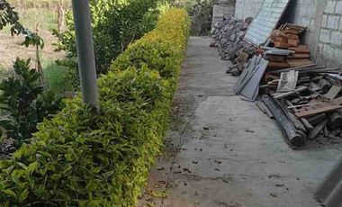 Vendo finca de 3 hectáreas y media en Atuntaqui