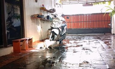 Rumah luas kokoh antik Jepara siap huni di Jatimekar jatiasih Bekasi