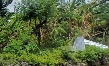 Tanah disewakan di RW 01, Rungkut Menanggal, Gunung Anyar, Surabaya, Jawa Timur