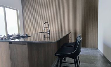 DEPARTAMENTO AMUEBLADO EN RENTA VIÑEDOS