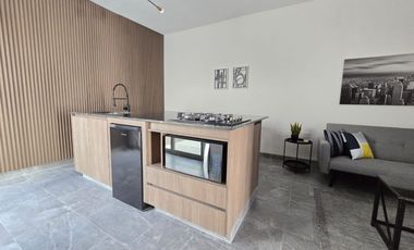 DEPARTAMENTO AMUEBLADO EN RENTA VIÑEDOS