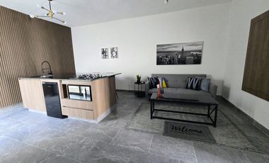 DEPARTAMENTO AMUEBLADO EN RENTA VIÑEDOS