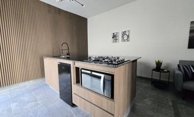 DEPARTAMENTO AMUEBLADO EN RENTA VIÑEDOS