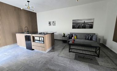 DEPARTAMENTO AMUEBLADO EN RENTA VIÑEDOS