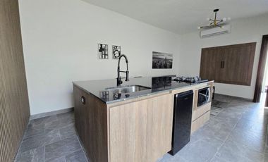 DEPARTAMENTO AMUEBLADO EN RENTA VIÑEDOS