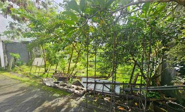Di jual tanah plot kecil sangat langka di tegak cupek Kerobokan sangat cocok di bangun villa komersil